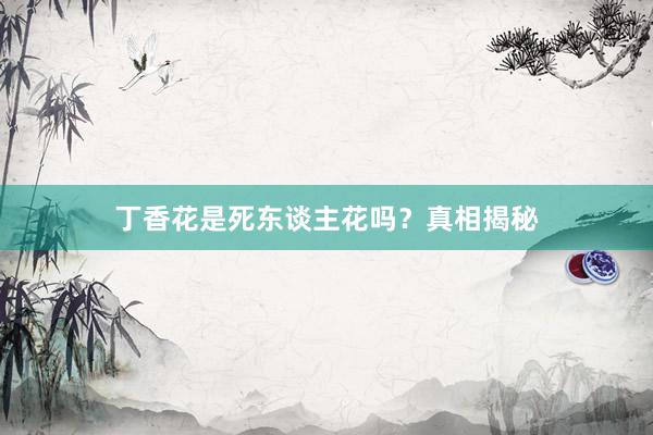 丁香花是死东谈主花吗?真相揭秘