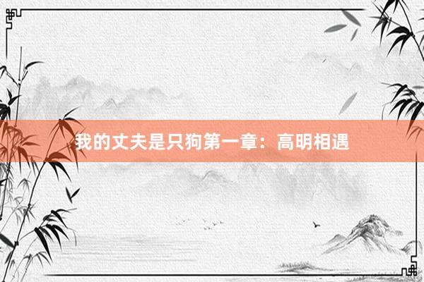 我的丈夫是只狗第一章：高明相遇